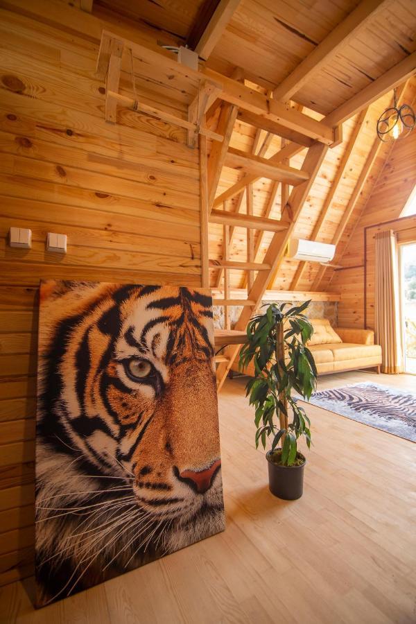 Gaia Bungalows フォチャ エクステリア 写真